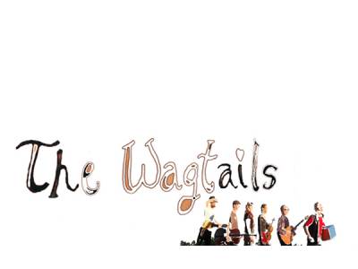 logo The Wagtails